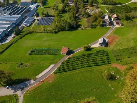 Asfaltiranje javne poti na Vajdovi ulici - odcep Padar 